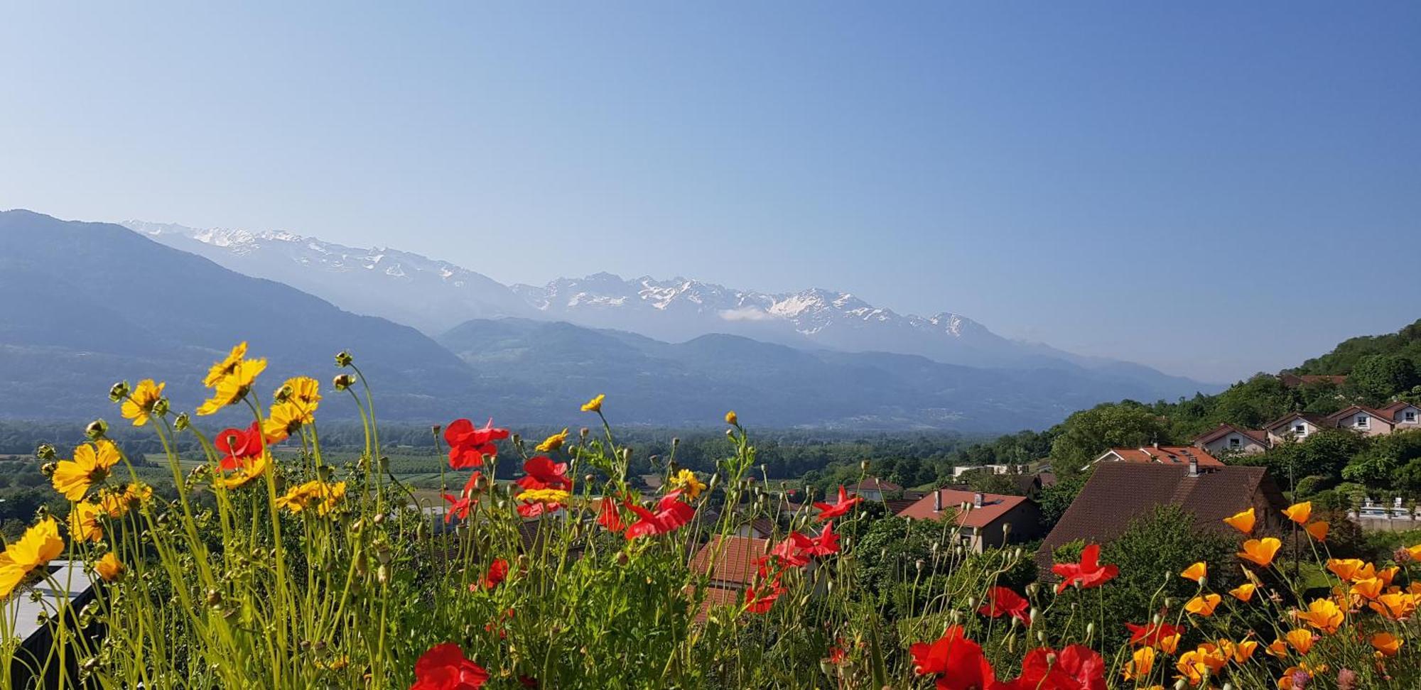 Gite Fabuleux, Jardin, Terrasse, Parking Saint-Vincent-de-Mercuze Екстериор снимка